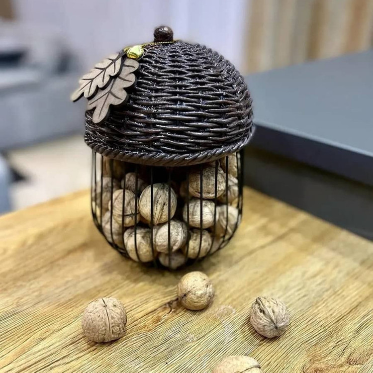 جای گردو بلوط